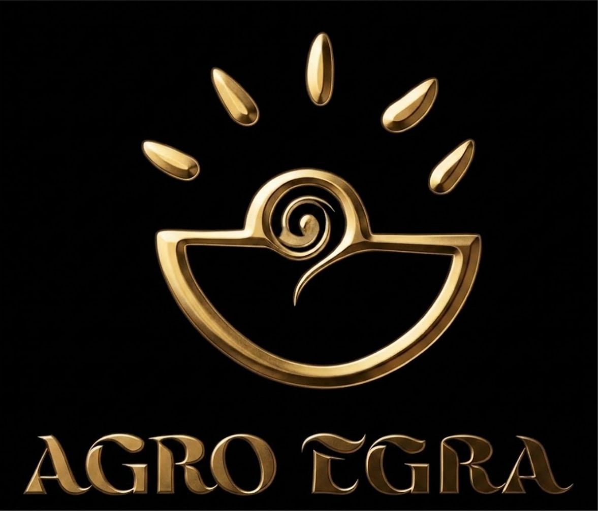 My Blog